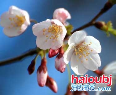 2019昆明春節(jié)天氣_昆明春節(jié)溫度昆明平均氣溫介紹.jpg 2019昆明春節(jié)天氣_昆明春節(jié)溫度昆明平均氣溫介紹.jpg